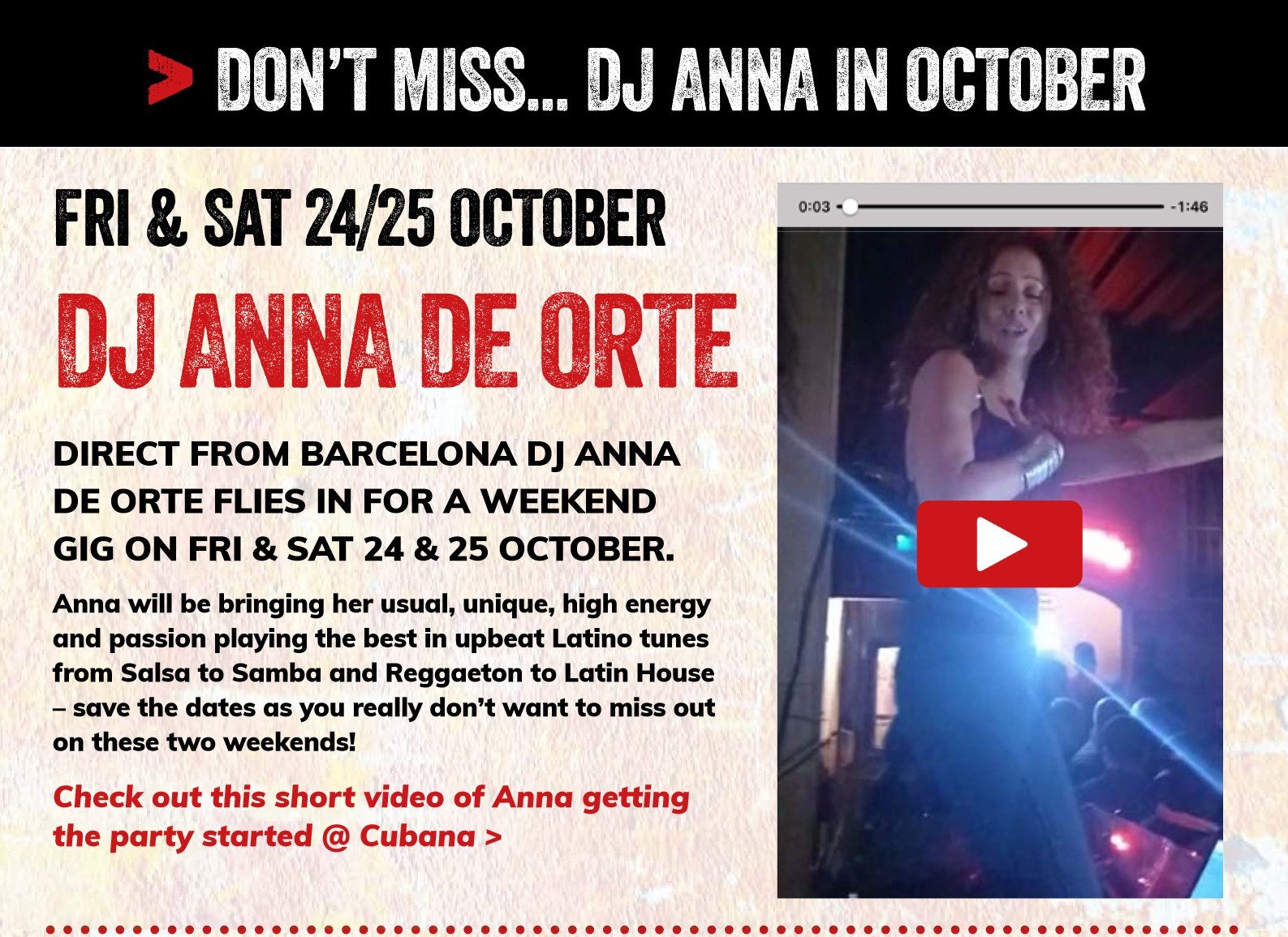 Newsletter 11