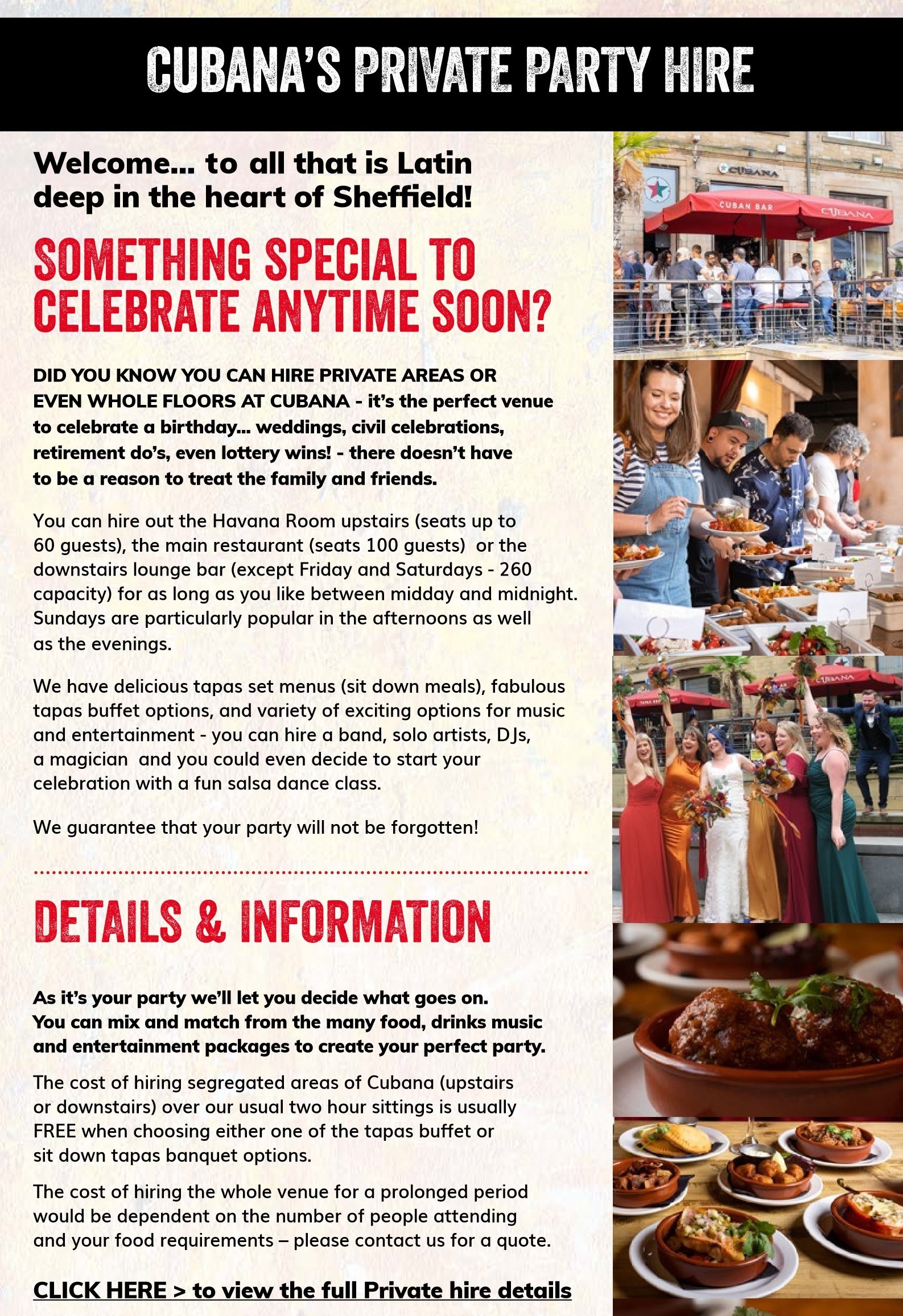 Newsletter 8